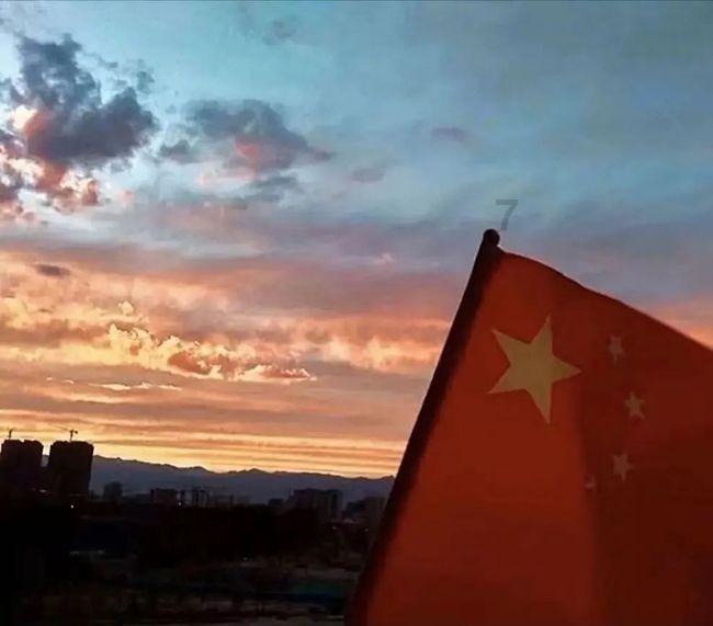 牛脑垂体提取物说明书-[爱必信absin]
